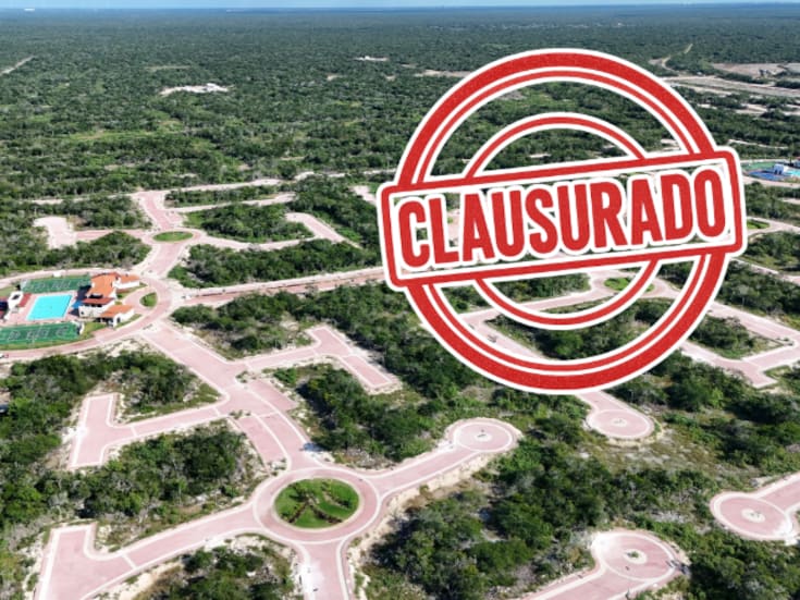 Profepa clausura proyecto inmobiliario en Yucatán: detectan remoción ilegal de vegetación y obras fuera del área autorizada