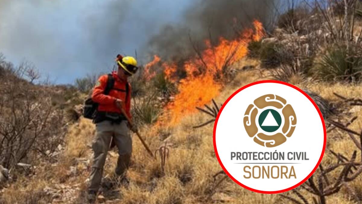 Controlan incendio forestal en Tubutama; gobierno de Sonora reporta 320 hectáreas afectadas