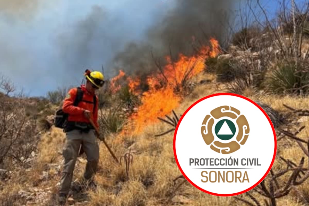 Controlan incendio forestal en Tubutama; gobierno de Sonora reporta 320 hectáreas afectadas