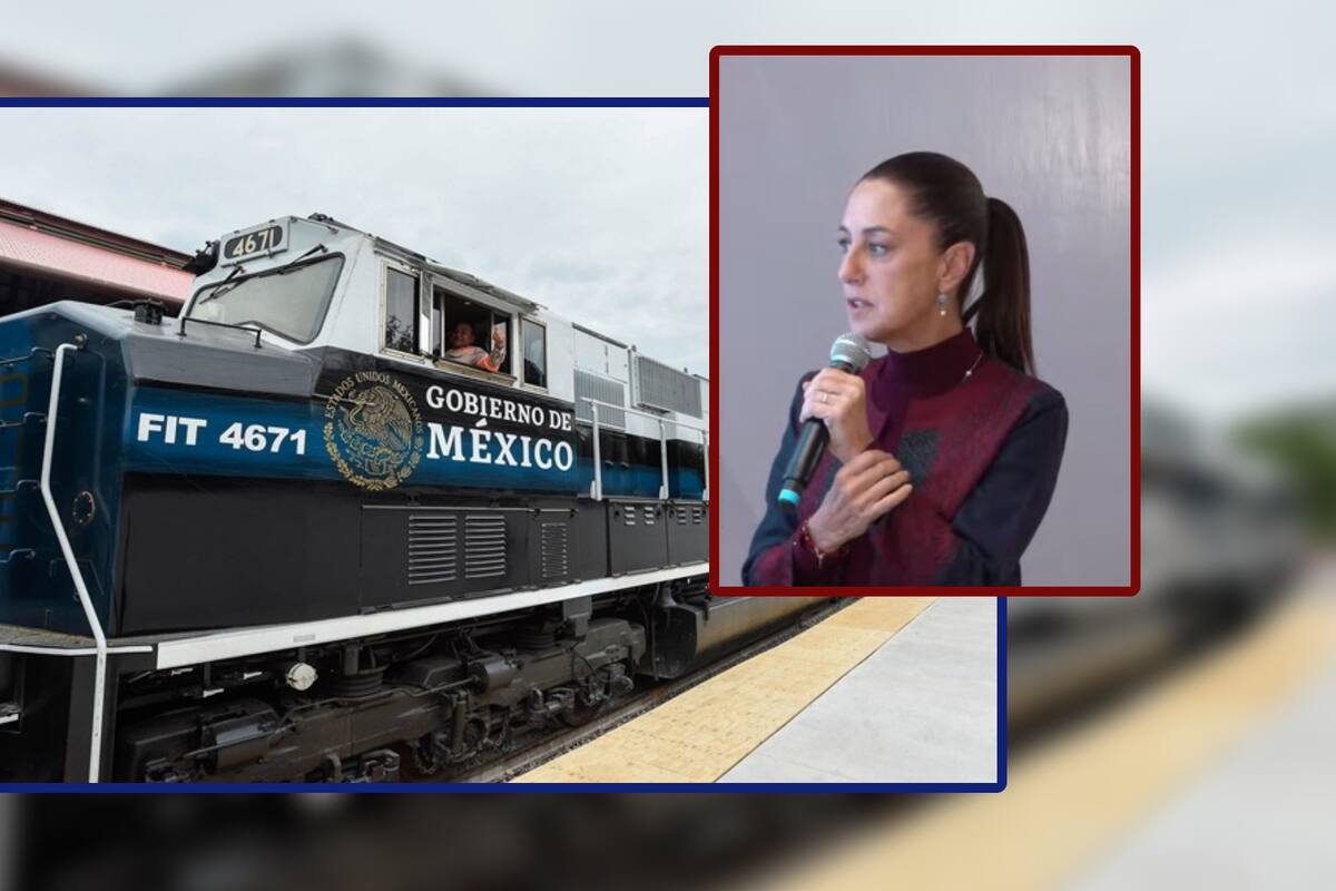 Construcción del tren en Sonora abarataría costos de comerciantes: Canaco