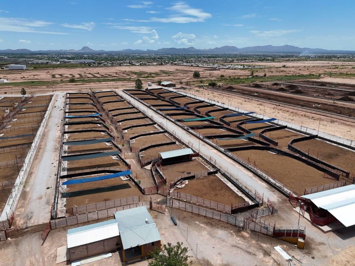 Desde la cuarentenaria de Agua Prieta, Alfonso Durazo y autoridades ganaderas informaron los controles que acompañarán el primer envío hacia Estados Unidos. FOTO: SONORA DIGITAL