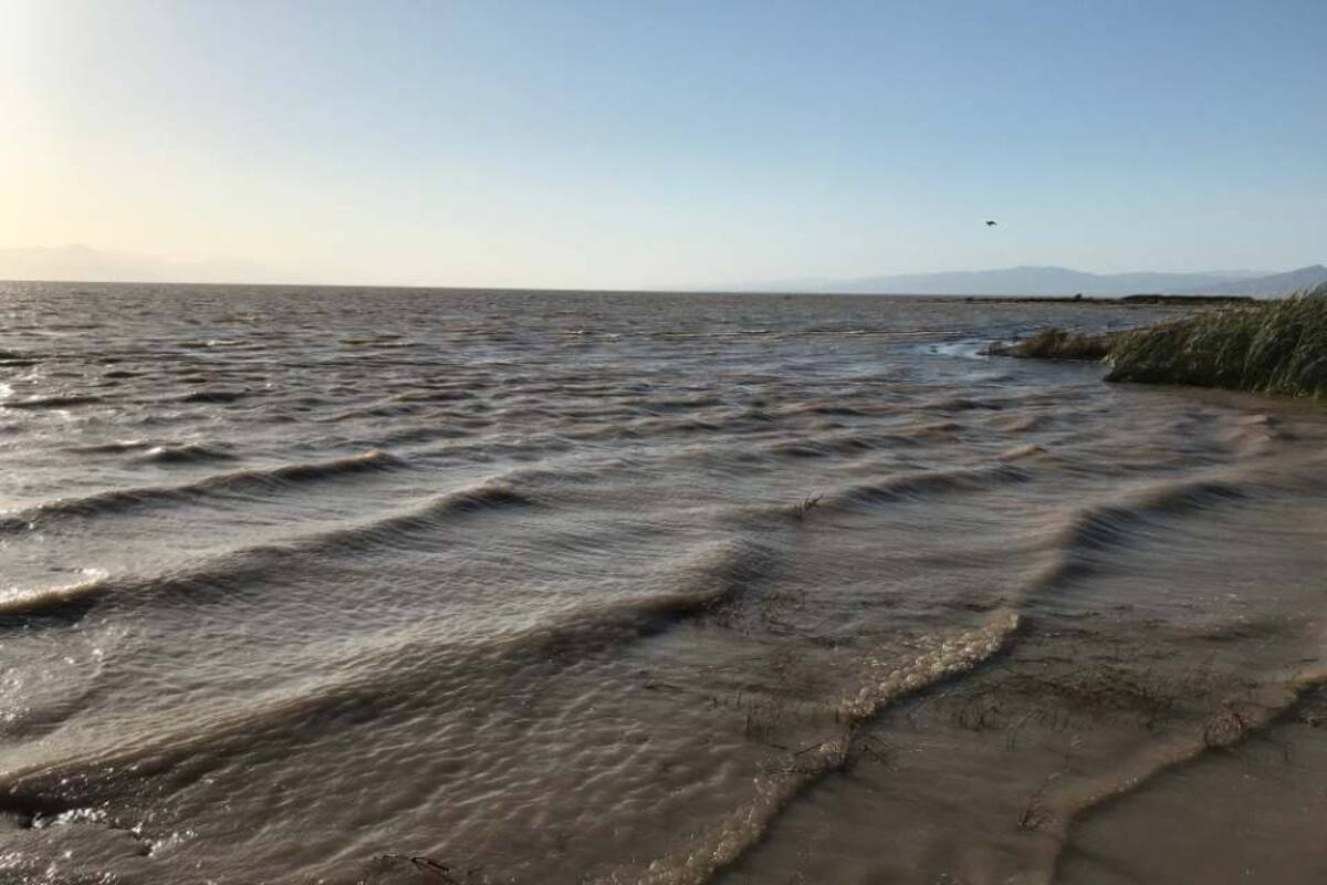 Alarma cambio de coloración en Salton Sea