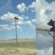 Oso muere electrocutado en Nuevo México después de trepar a un poste eléctrico; el video viral muestra el momento en que quedó atrapado y las autoridades advirtieron que un rescate era imposible
