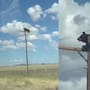 Oso muere electrocutado en Nuevo México después de trepar a un poste eléctrico; el video viral muestra el momento en que quedó atrapado y las autoridades advirtieron que un rescate era imposible