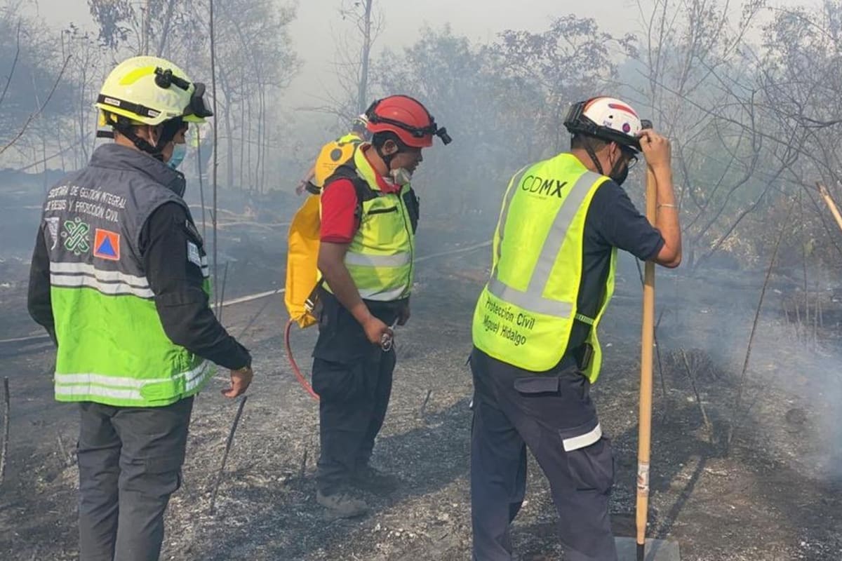 Bosque de Chapultepec sufre incendio en Tercera Sección; logran sofocarlo