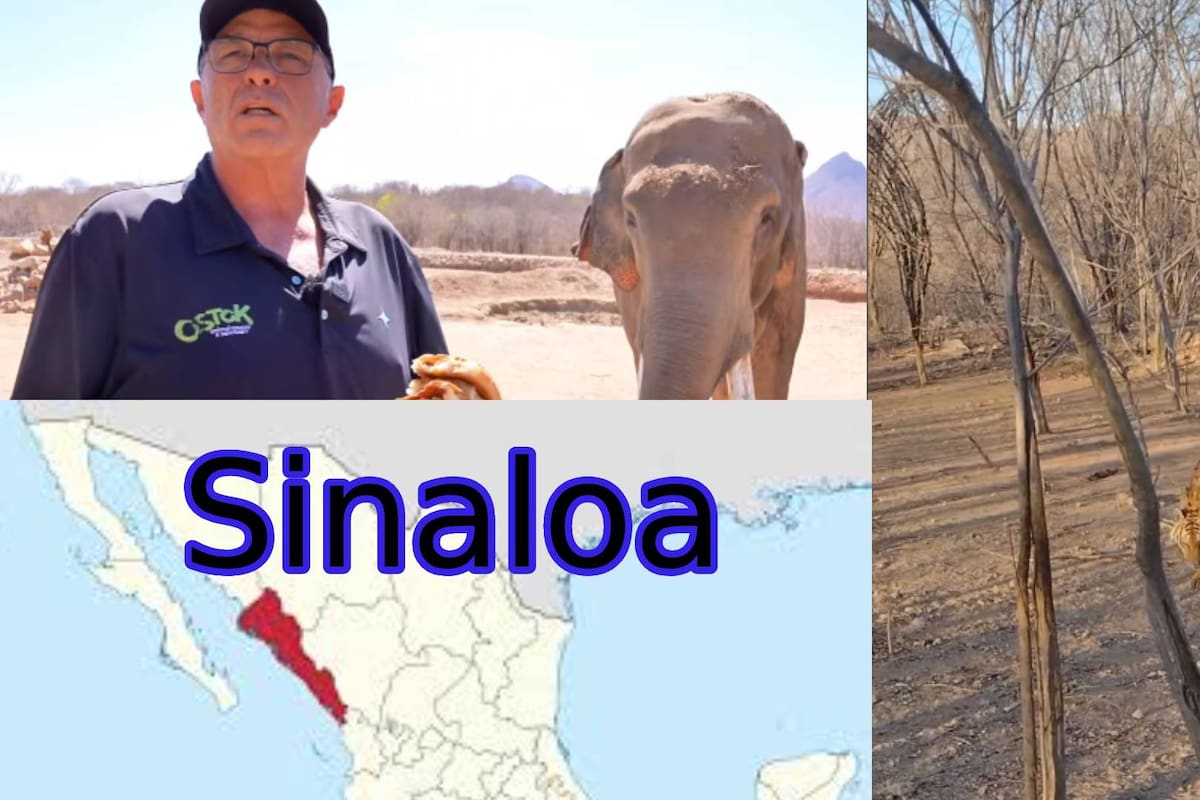 Cierran Santuario Ostok en Culiacán; algunas de las razones son por la violencia, robos e intentos de extorsión