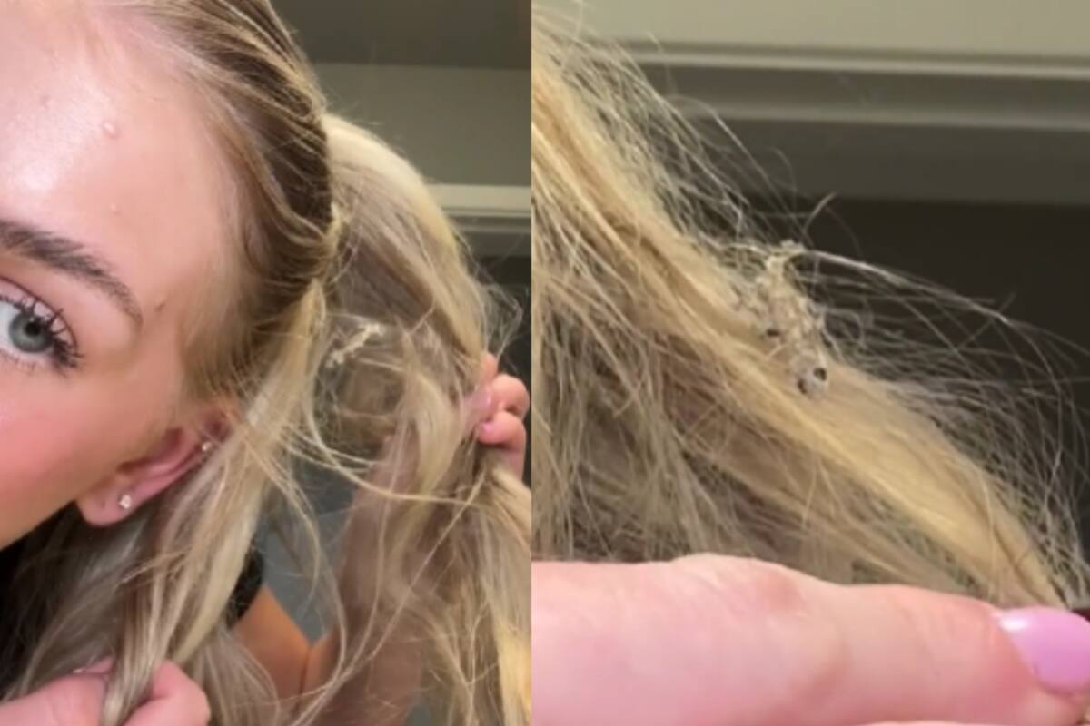 Una mujer encuentra una lagartija en su cabello y se horroriza