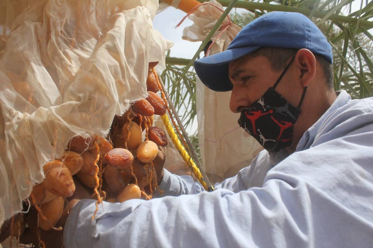 Los comités son parte de la Ley General de Alimentación Adecuada y Sostenible, que establece principios de equidad, inclusión y participación ciudadana.