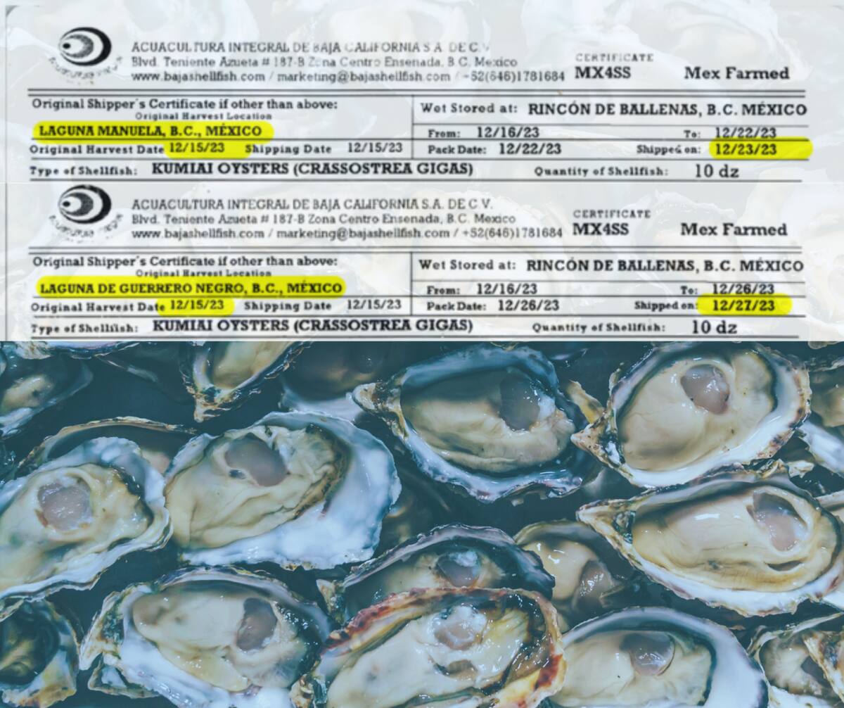 Funcionarios de salud pública recomendaron a consumidores y restaurantes que desechen las ostras importadas desde México hasta nuevo aviso. FOTO: ESPECIAL