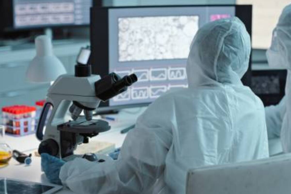 ¿Qué es el Oropouche?: En Brasil se registran primeras muertes por el virus en el mundo