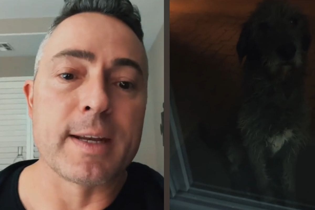 “Es un skinwalker”: Hombre asegura que el perro que está afuera no es suyo