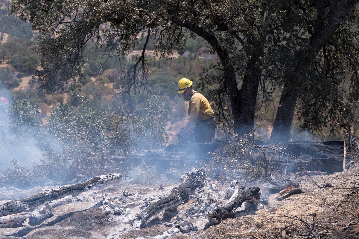Bomberos mexicanos apoyarán incendios forestales en Canadá