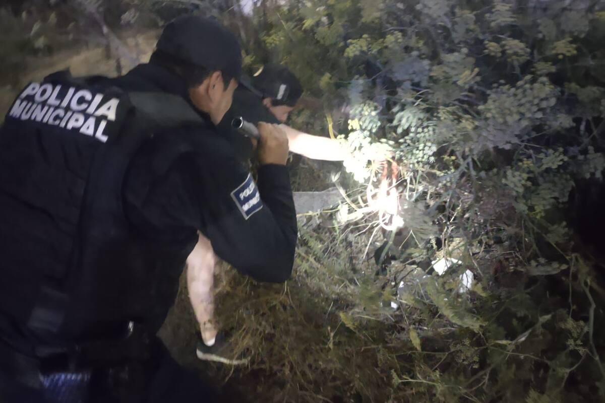 Policía Ecológica rescata a perro atropellado