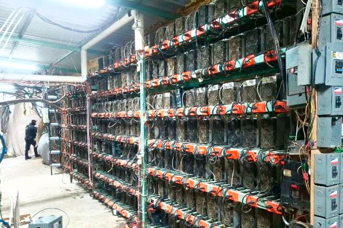 Aseguran en Puebla una granja clandestina de criptomonedas con 300 equipos de cómputo y equipo eléctrico de alta tensión
