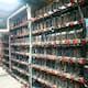 Aseguran en Puebla una granja clandestina de criptomonedas