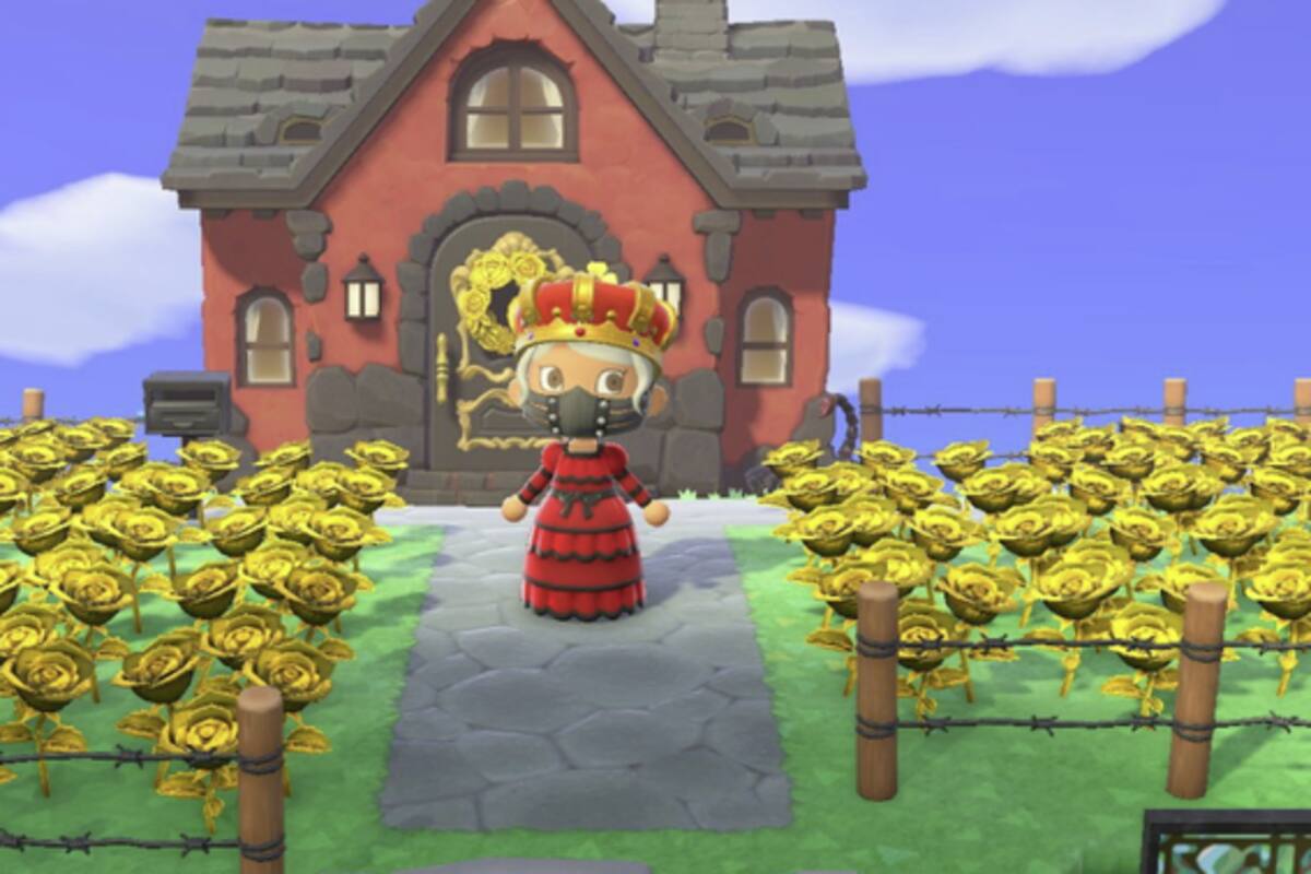 Trabajadora sexual obtiene miles de dólares por jugar en Animal Crossing