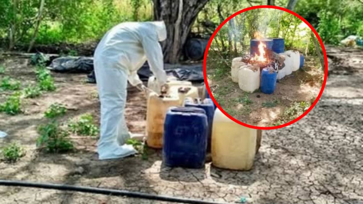 Aseguran en Culiacán dos zonas clandestinas con químicos para fabricar drogas