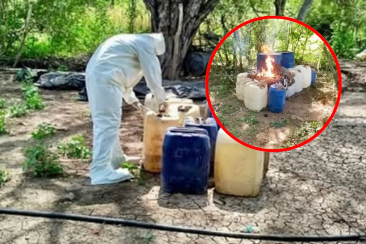 Aseguran en Culiacán dos zonas clandestinas con químicos para fabricar drogas