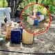 Aseguran en Culiacán dos zonas clandestinas con químicos para fabricar drogas