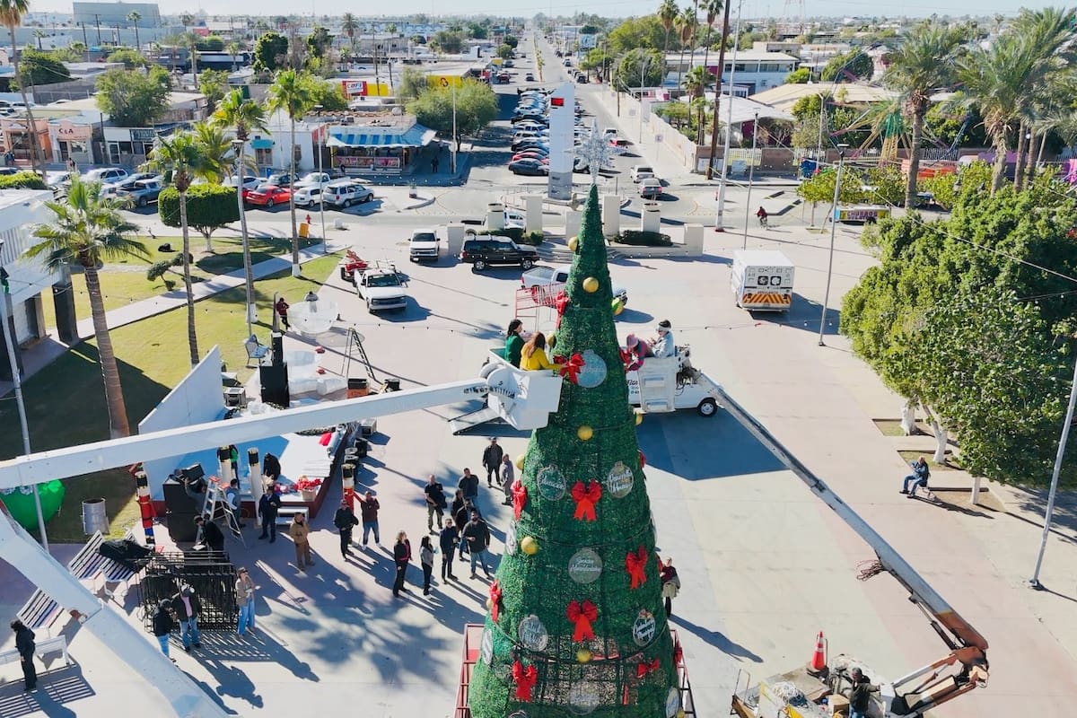 Encendido del Árbol Navideño reúne a familias en SLRC
