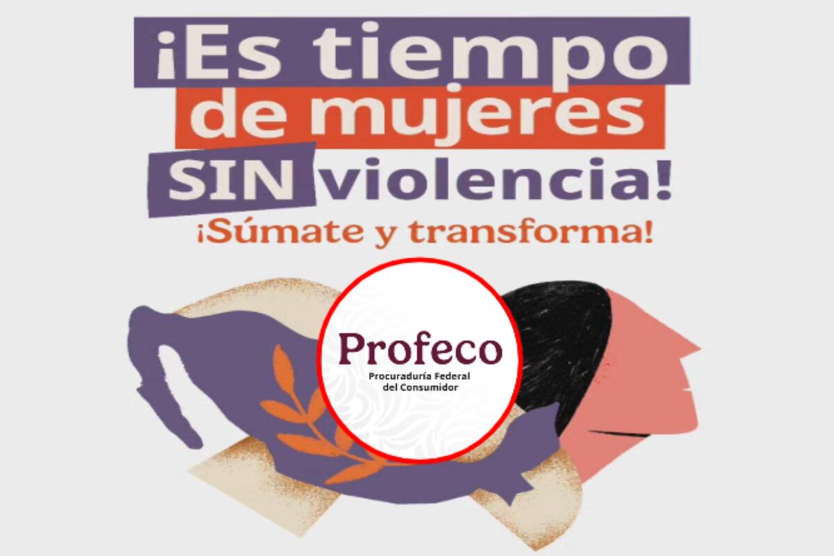 Como identificar la violencia económica con 3 ejemplos, la número 4 de violencia más común en mujeres en México