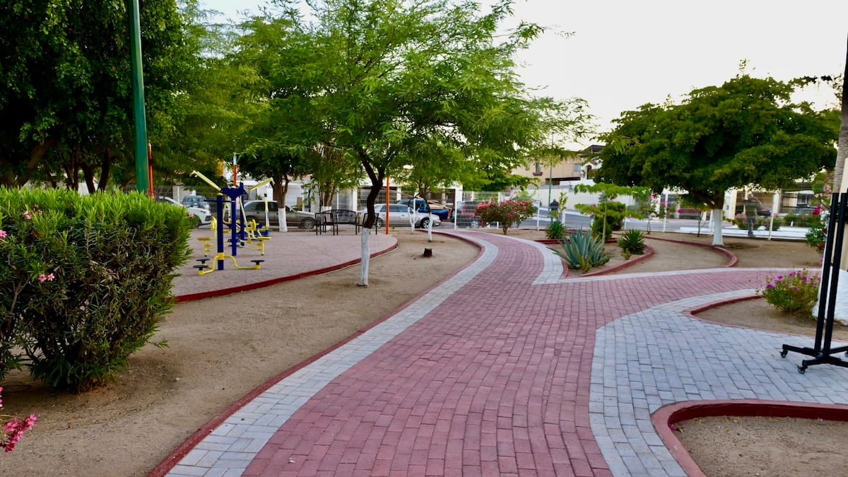 Analizan crear dirección especializada para parques y jardines en Tijuana