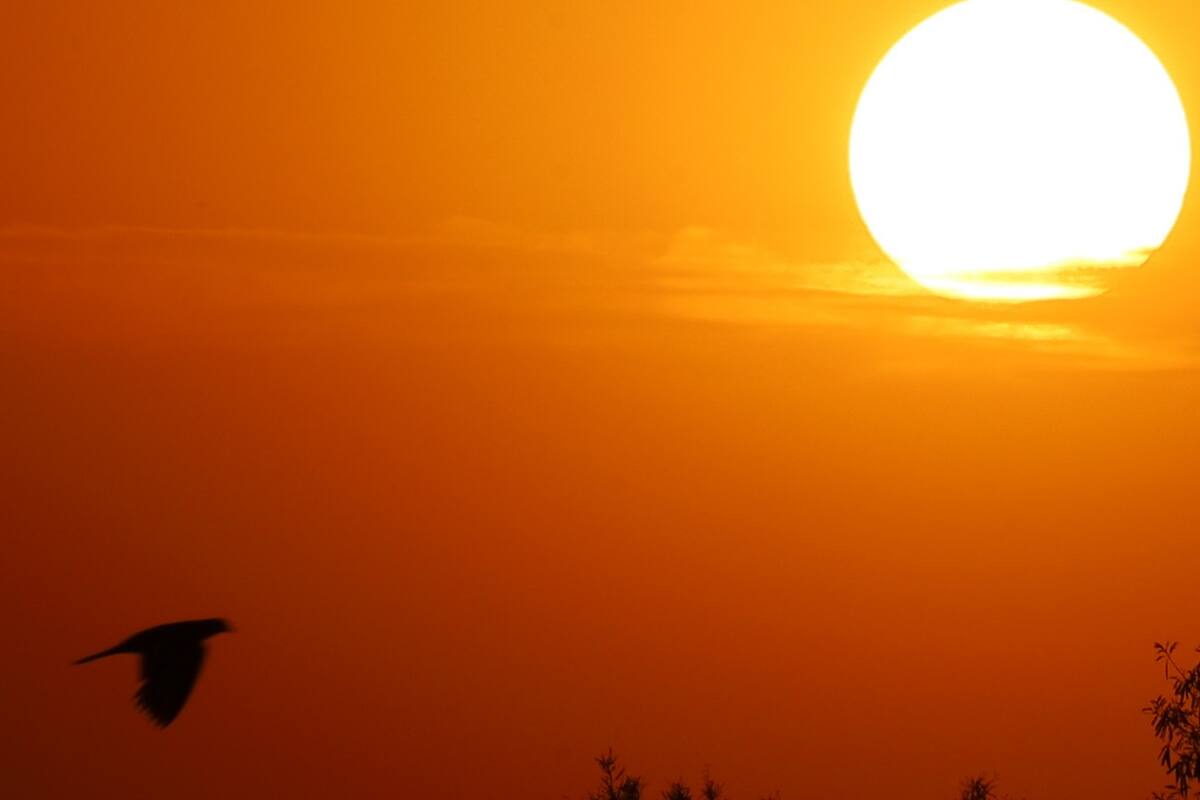 Hallan a hombre muerto por calor; ya van 18