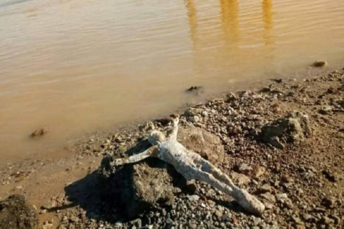 Aparece en las orillas de un río figura de Cristo