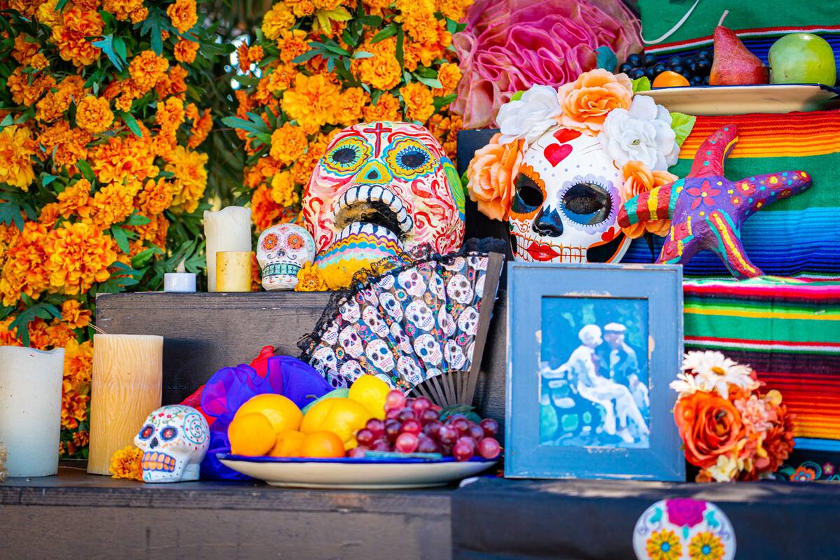 SeaWorld San Diego festejará el Día de Muertos