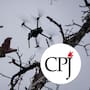 Asesinatos de periodistas con drones se disparan de 2 a 39 en dos años y elevan el riesgo para la prensa mundial