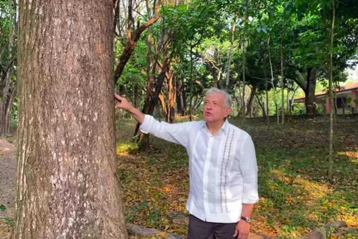 AMLO planteará a Biden dar visas a centroamericanos que trabajen en programa "Sembrando vida"