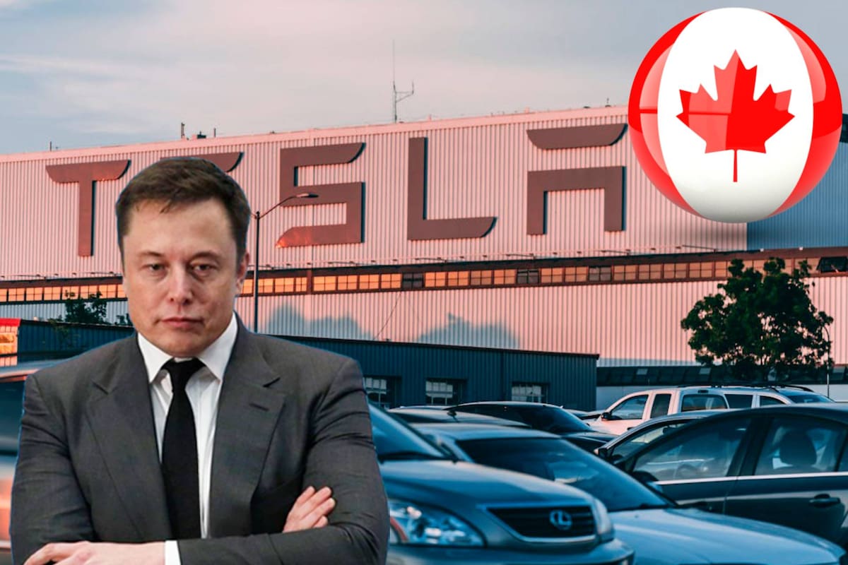 Dañan automóviles Tesla de concesionario en Canadá, por aparente protesta contra Elon Musk