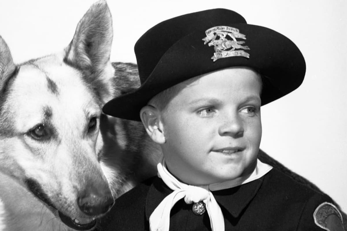 Fallece la estrella infantil, protagonista de “Las Aventuras de Rin Tin Tin”, Lee William Aaker, a los 77 años de edad