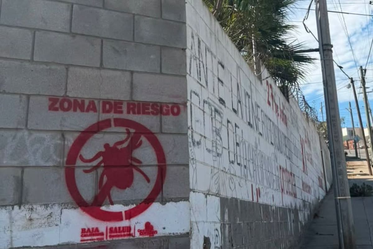 Calor prolonga ciclo de la garrapata y suman 40 casos de rickettsiosis en Ensenada