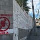 Rickettsiosis en Ensenada: suman 40 casos y 14 muertes