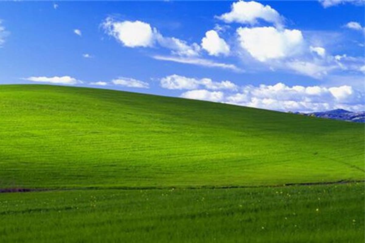 “Bliss”, la imagen más vista de la historia: el origen real del fondo de pantalla de Windows XP