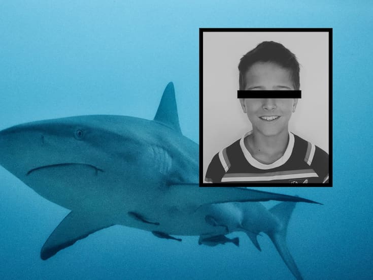 Muere niño de 12 años atacado por tiburón en Sídney tras un fin de semana de múltiples incidentes