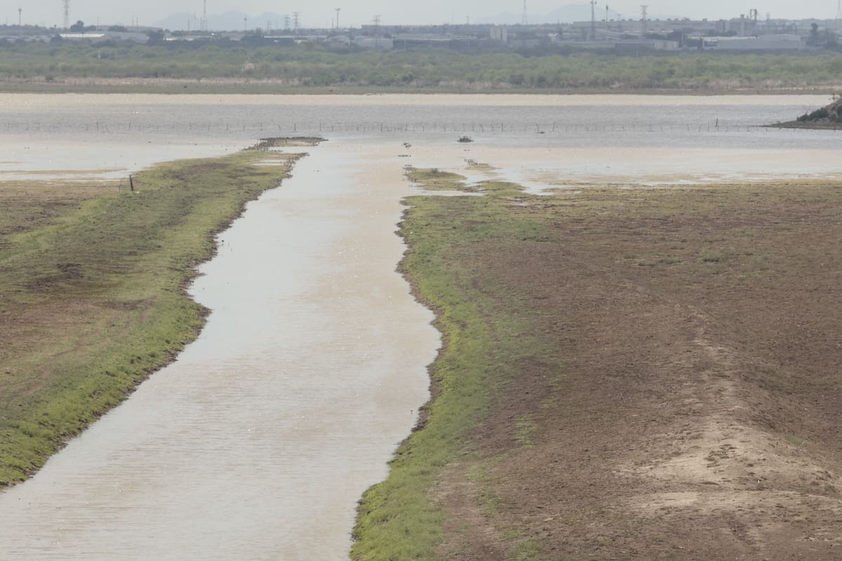 Tras las lluvias, las presas de Sonora superan el 35% de almacenamiento