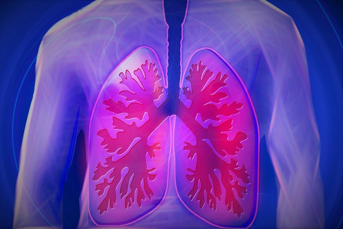 OM-85 que pone fin a infecciones de Covid se vende desde muchos años como tratamiento preventivo para infecciones respiratorias en niños