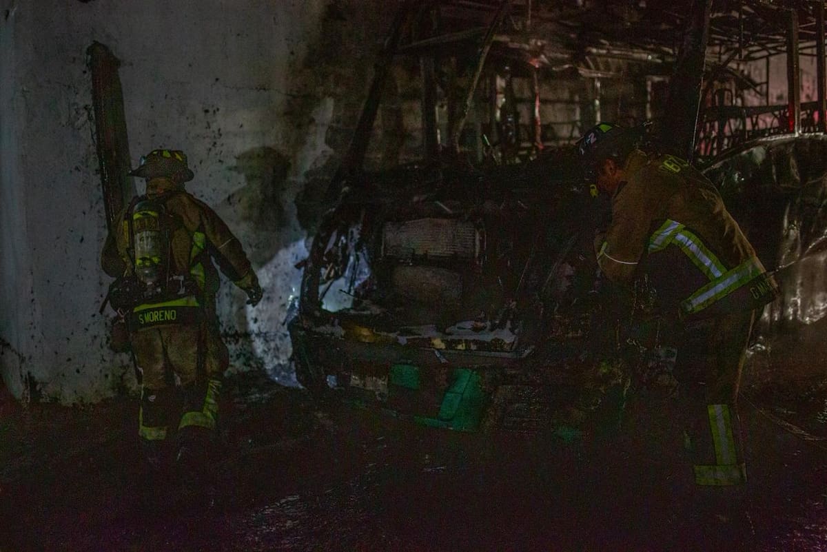 Rescataron conejos que se encontraban dentro del inmueble.
