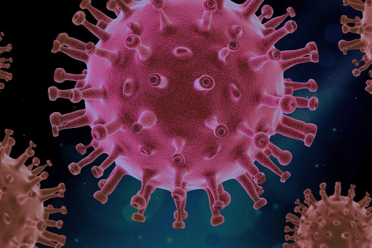 El caso del hombre con superanticuerpos contra el coronavirus y por qué es una esperanza para los científicos