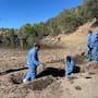 Colectivo encuentra dos cuerpos al surponiente de Nogales