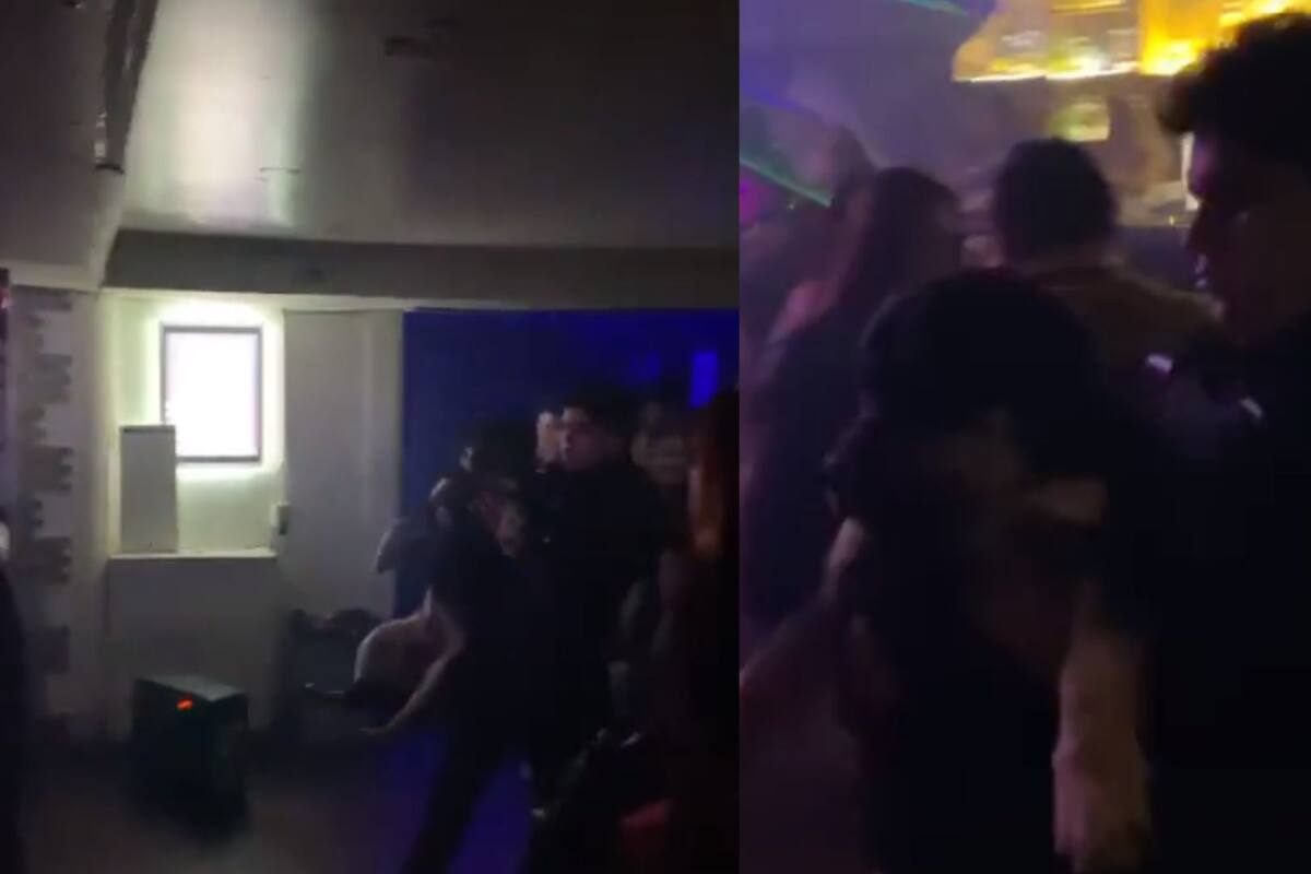 TIKTOK: Perrito enfiestado fue sacado de un antro y se vuelve viral en redes sociales