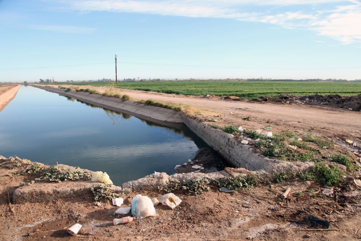 Baja California mantiene saldo blanco por amiba de vida libre; refuerzan vigilancia en canales del Valle de Mexicali