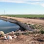 Baja California mantiene saldo blanco por amiba de vida libre; refuerzan vigilancia en canales del Valle de Mexicali