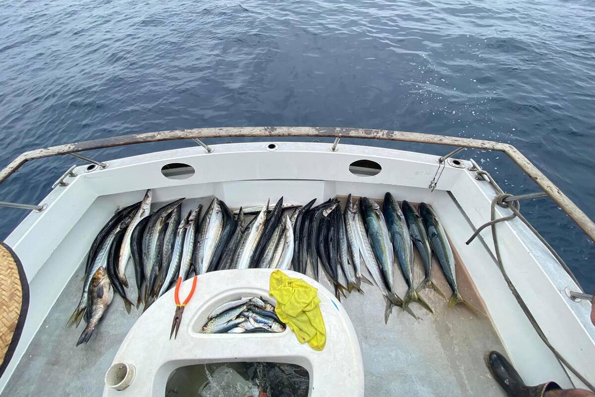 Falta servicio a embarcaciones de pescadores de Ensenada