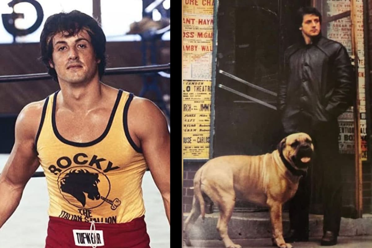 Conoce la historia de Sylvester Stallone y su perro "Buktus" antes de triunfar con "Rocky"