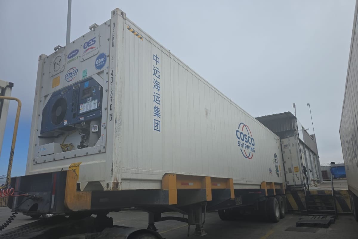 Aseguran cargamento pesquero irregular en el recinto portuario de Ensenada