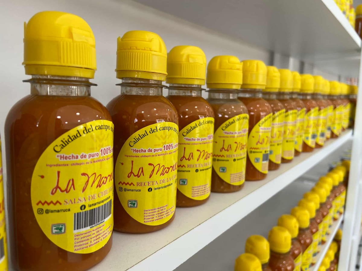 El chiltepín también es  conocido como el “oro rojo sonorense”. / Imagen por Mayra Echeverría.