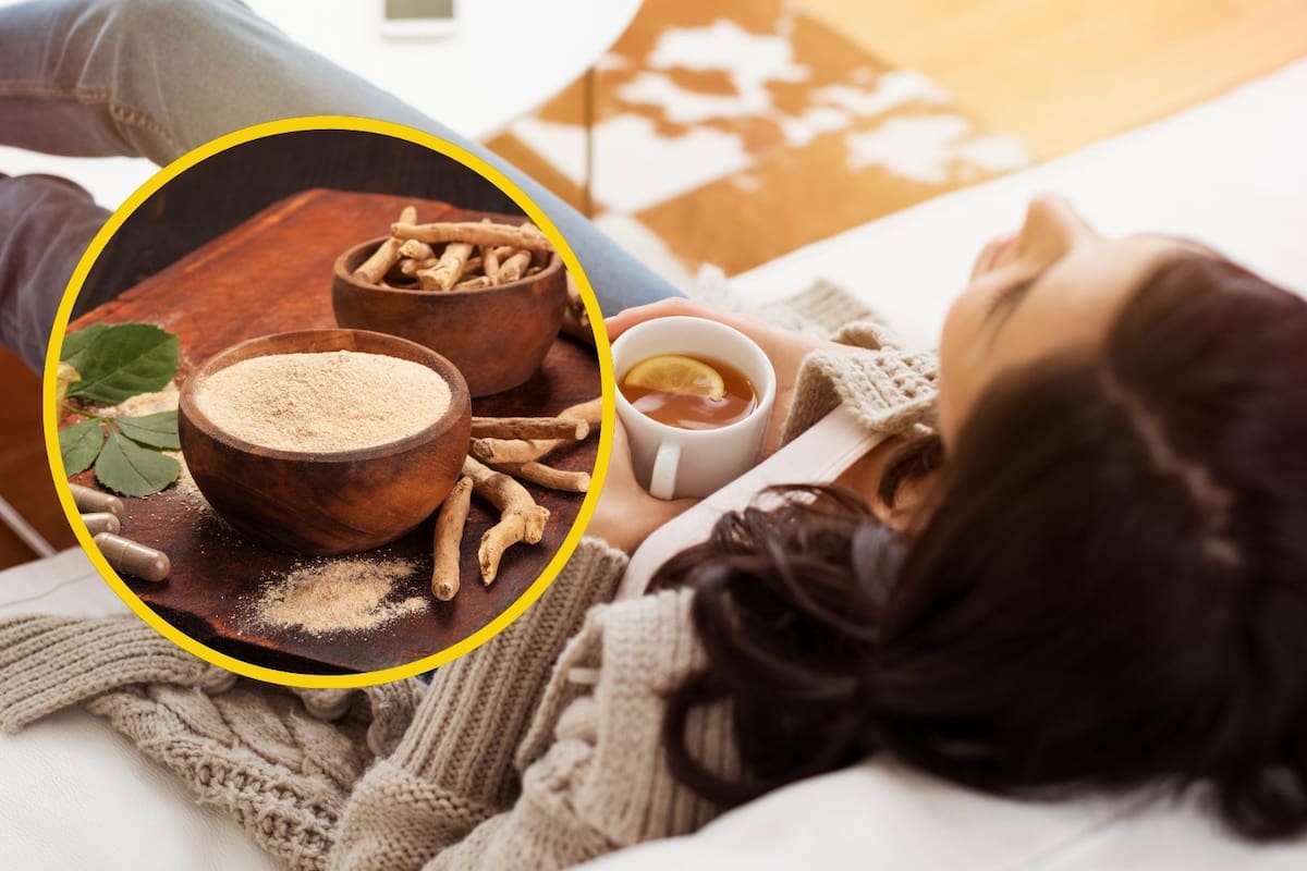 Ashwagandha: la planta milenaria que reduce el estrés y mejora el sueño, según expertos